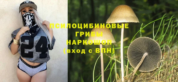 тгк Алексин