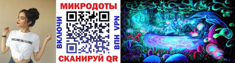 как найти   Кинель  Псилоцибиновые грибы Cubensis 